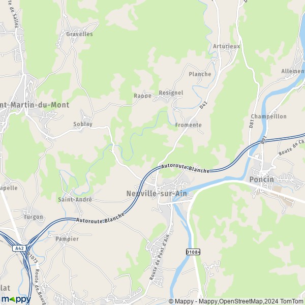 La carte pour la ville de Neuville-sur-Ain 01160