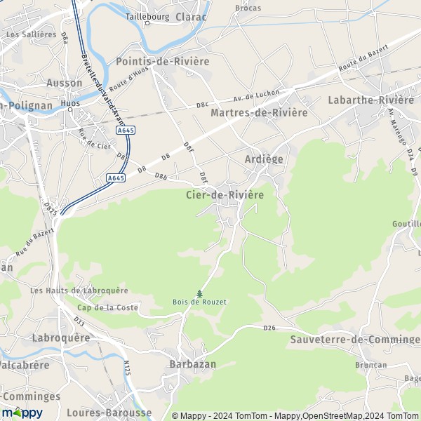 La carte pour la ville de Cier-de-Rivière 31510