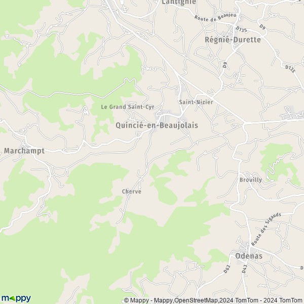 La carte pour la ville de Quincié-en-Beaujolais 69430