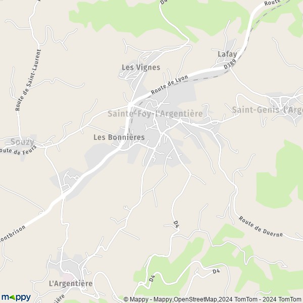 La carte pour la ville de Sainte-Foy-l'Argentière 69610